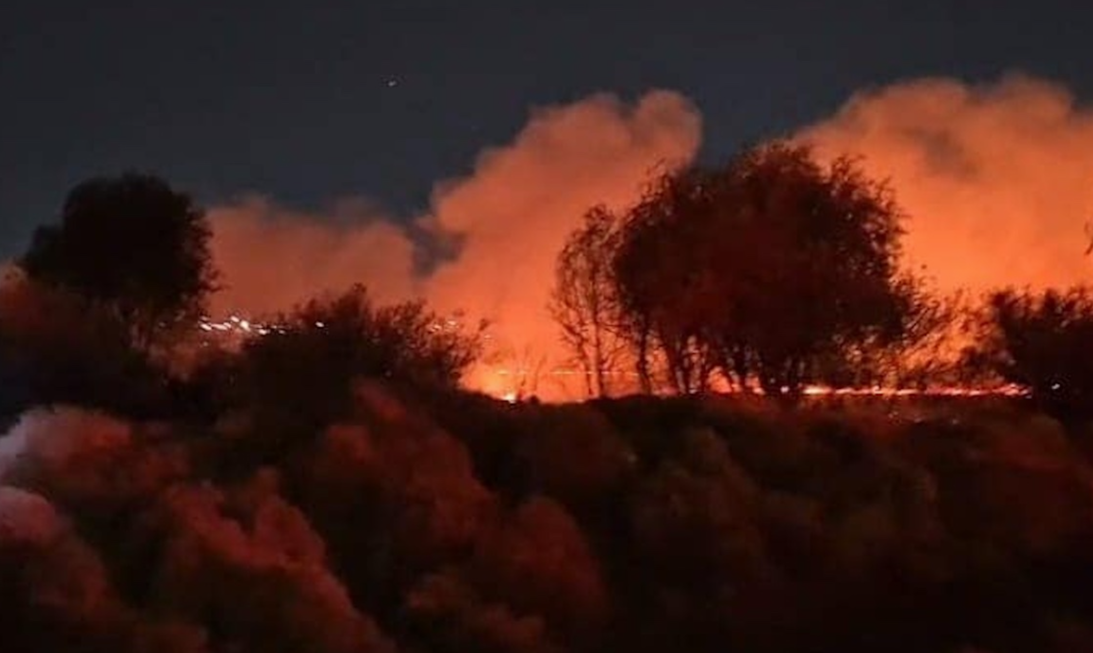 Suspenden clases en CCH Azcapotzalco por afectación de incendio forestal 